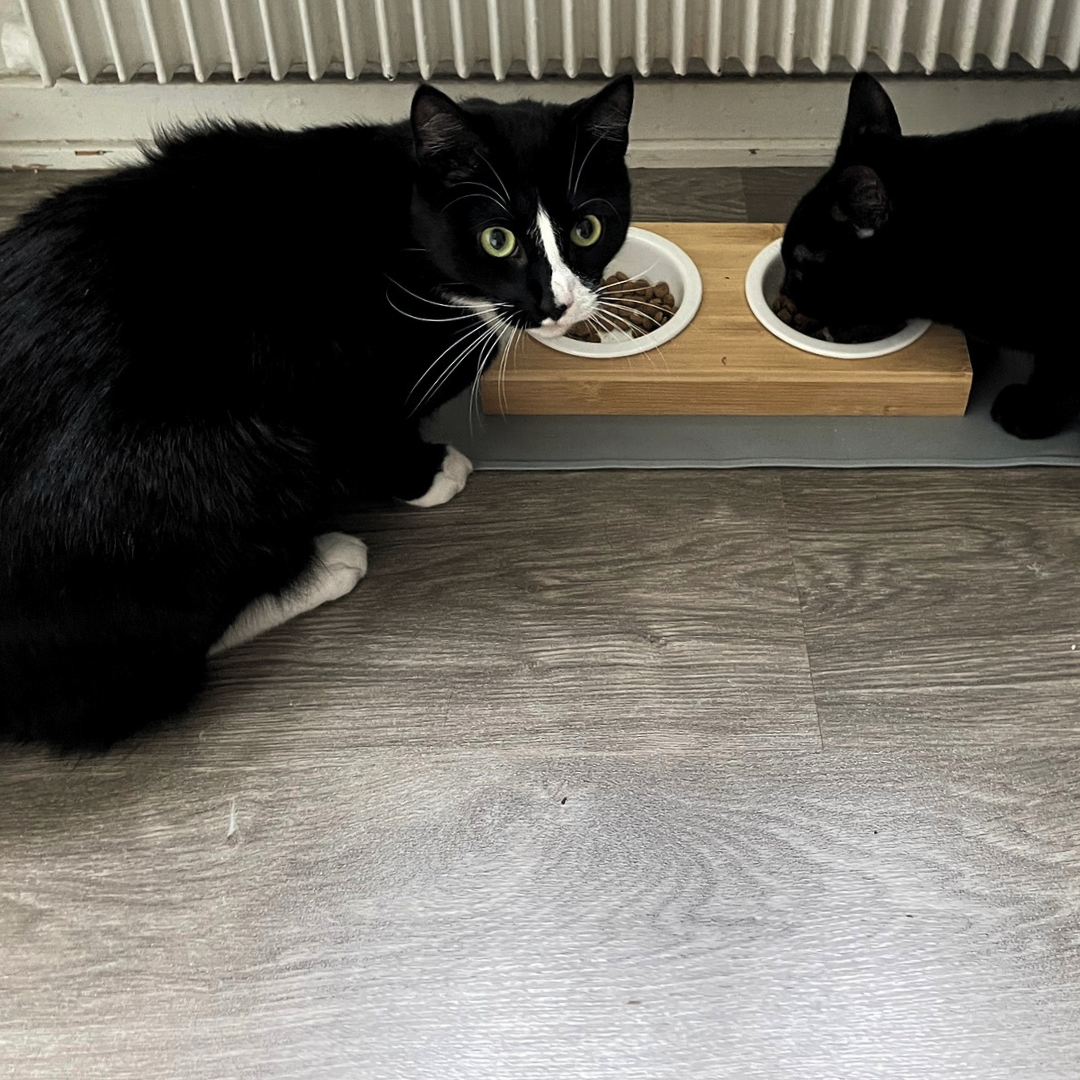 Matstation i bambu – Stilren matplats med keramikskålar